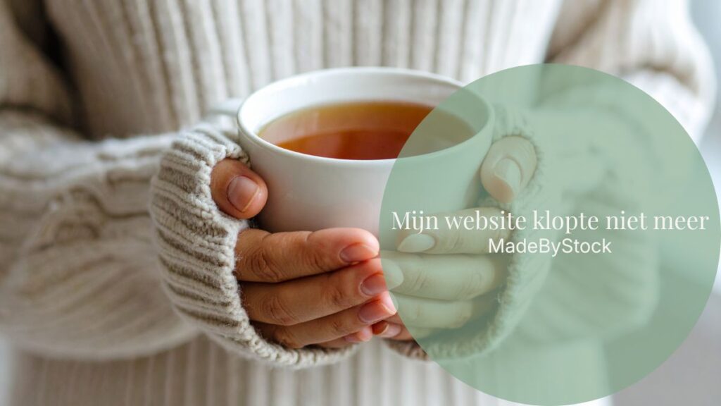 Mijn website klopte niet meer (en dit ontdekte ik) - Bouwen aan MadeByStock